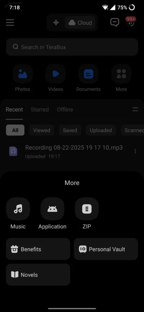 Terabox Apk for iOS - Latest Version 2026 Terabox Ios Working Screenshot 07
