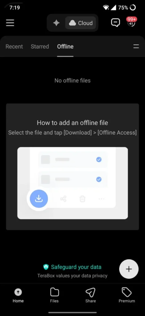 Terabox Apk for iOS - Latest Version 2026 Terabox Ios Working Screenshot 08